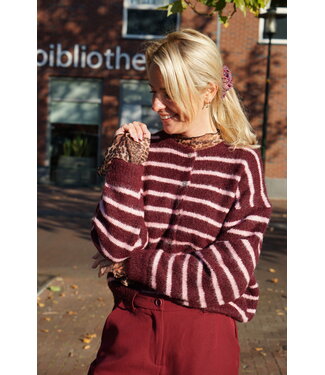 VEST STREEP AUBERGINE/ROZE