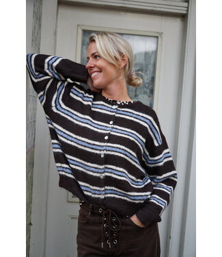 STREEP VEST BRUIN BLAUW