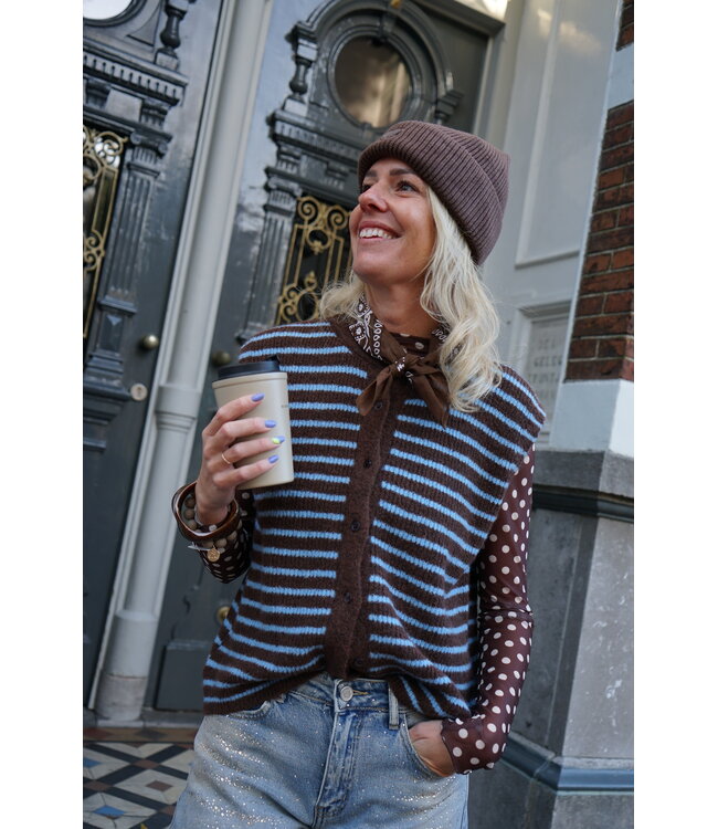 GILET STREEP BRUIN BLAUW