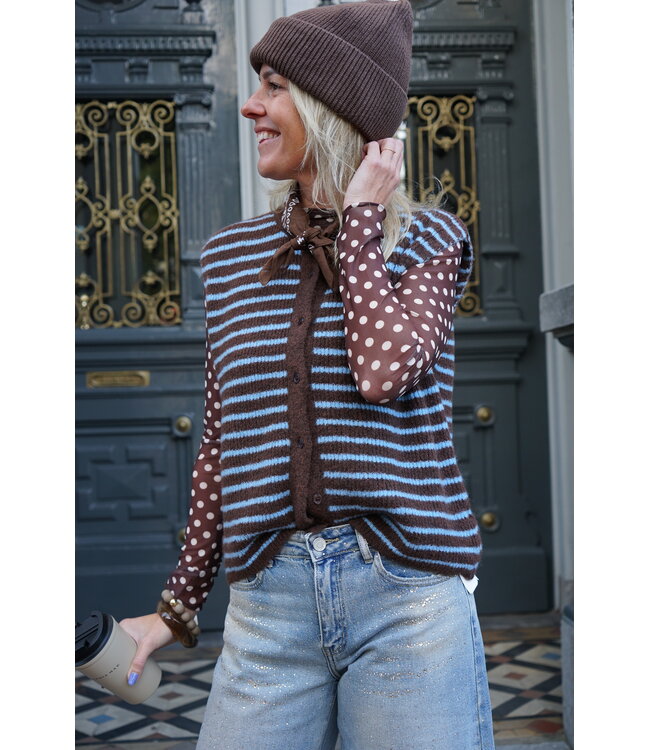 GILET STREEP BRUIN BLAUW