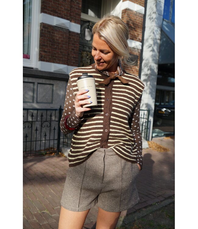 STREEP GILET BRUIN GEEL
