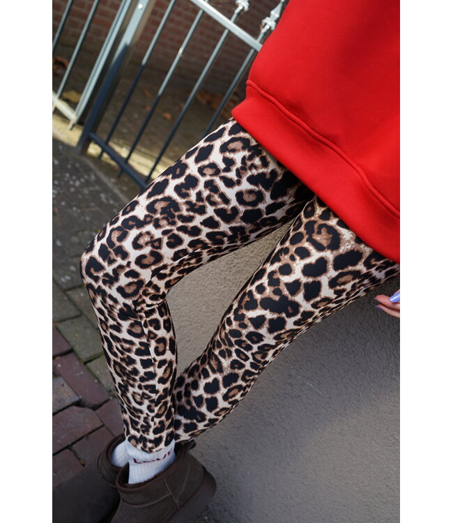 LEGGING LEOPARD