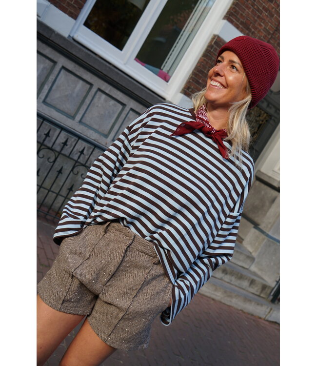 STREEP TOP BRUIN BLAUW