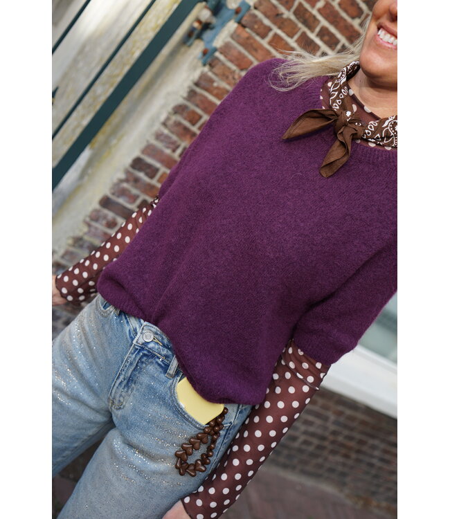 TOP ALPACA AUBERGINE