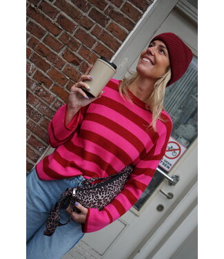STREEP TRUI ROOD ROZE