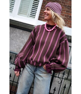 STREEP  SWEATER BO ROZE BRUIN