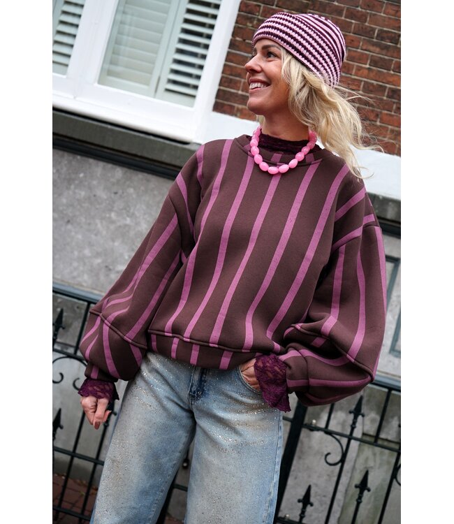STREEP  SWEATER BO ROZE BRUIN