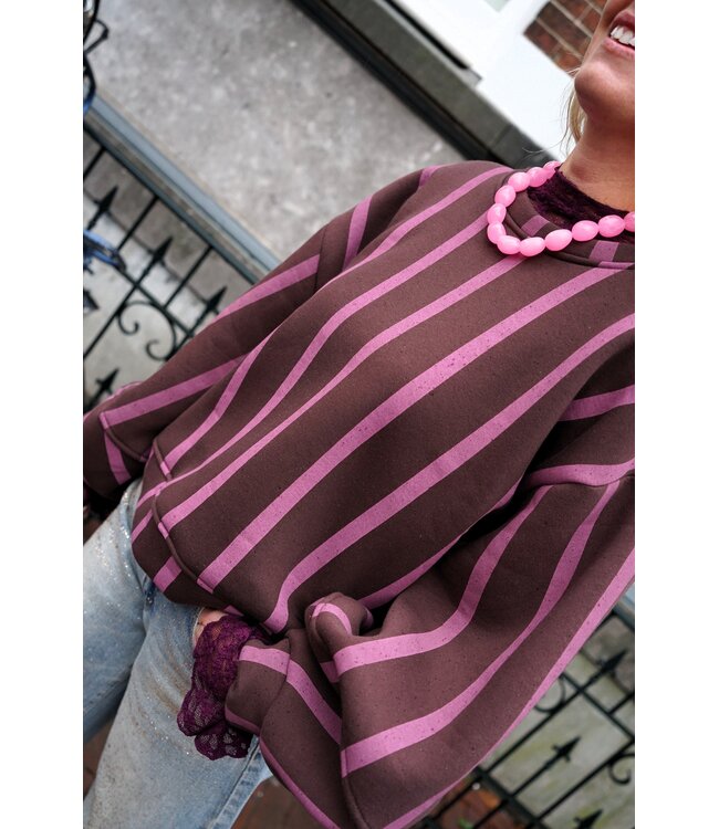 STREEP  SWEATER BO ROZE BRUIN