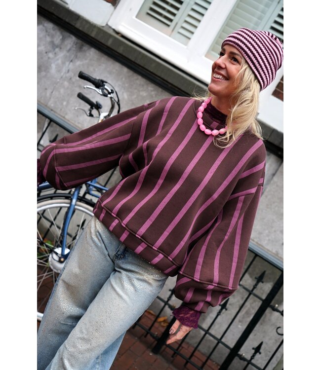 STREEP  SWEATER BO ROZE BRUIN