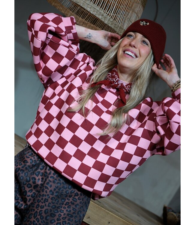 GEBLOKTE TRUI BURGUNDY ROZE