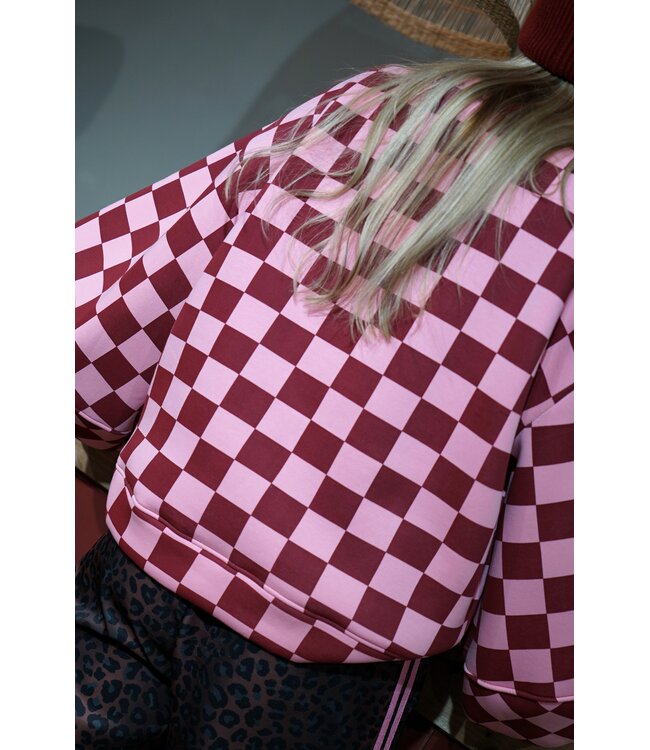 GEBLOKTE TRUI BURGUNDY ROZE