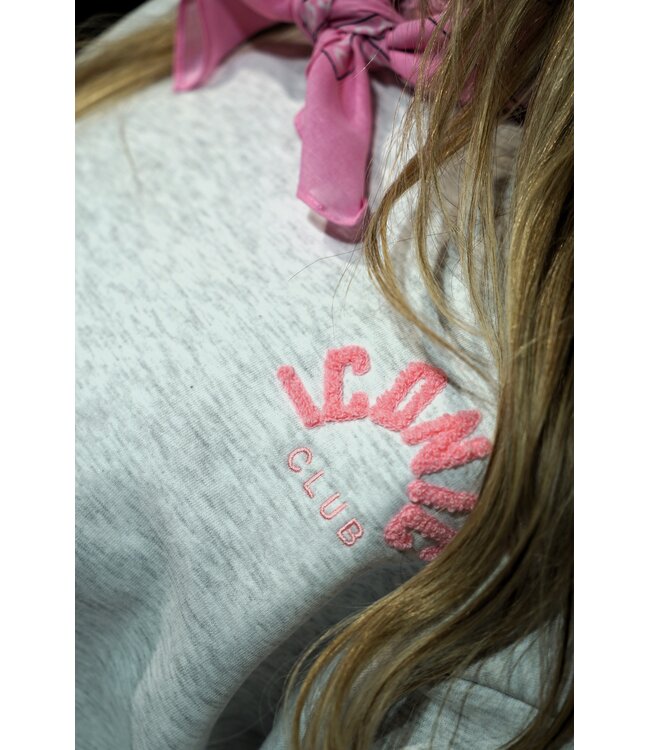 ICONIC SWEATER GRIJS ROZE