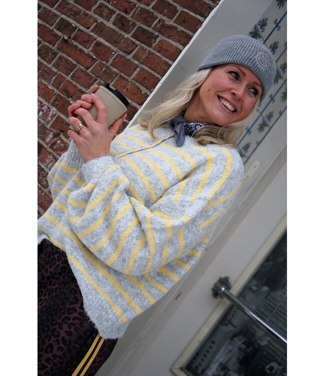 HARTJES TRUI STREEP GRIJS GEEL