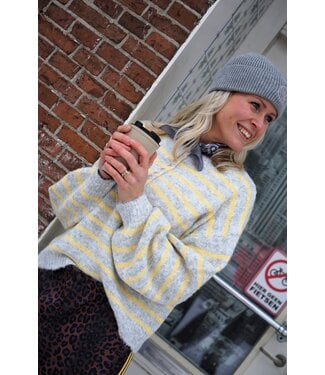 HARTJES TRUI STREEP GRIJS GEEL