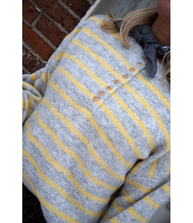 HARTJES TRUI STREEP GRIJS GEEL