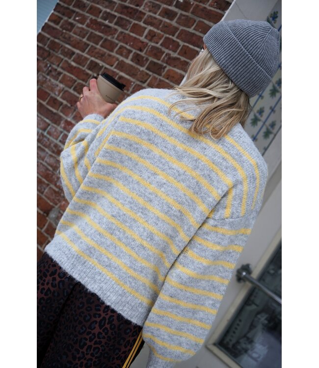 HARTJES TRUI STREEP GRIJS GEEL