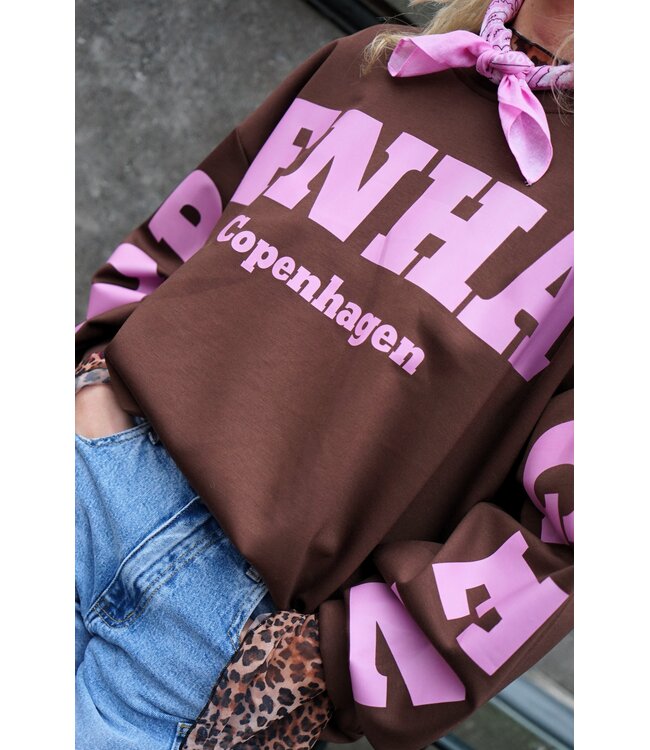 SWEATER COPENHAGEN BRUIN ROZE