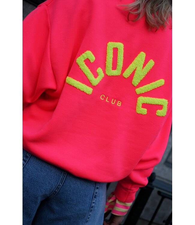 ICONIC SWEATER ROZE GEEL