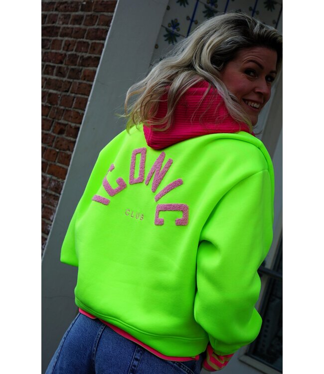 ICONIC SWEATER GROEN ROZE