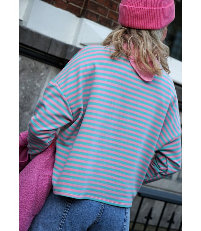STREEP TOP KIM BLAUW ROZE