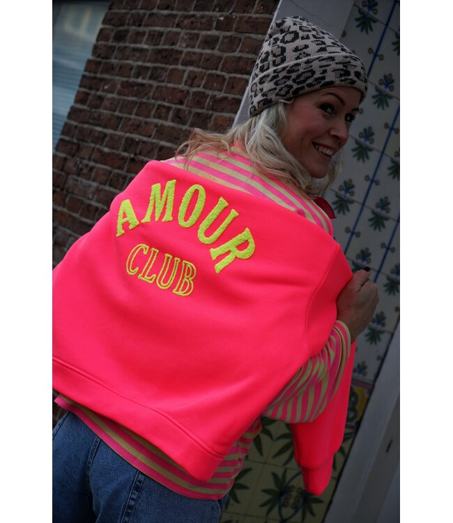 SWEATER AMOUR CLUB ROZE GEEL