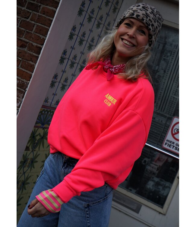 SWEATER AMOUR CLUB ROZE GEEL