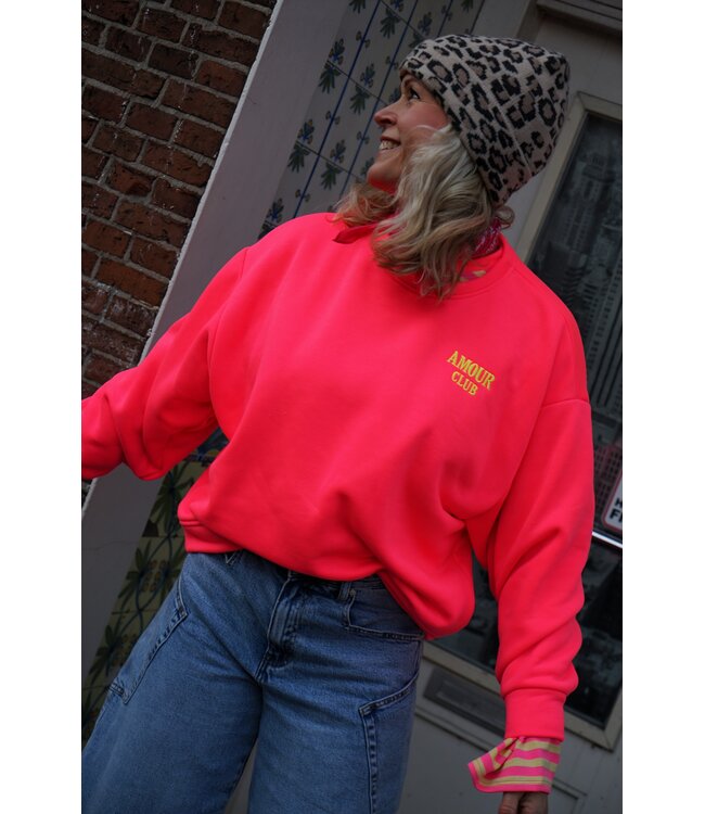 SWEATER AMOUR CLUB ROZE GEEL