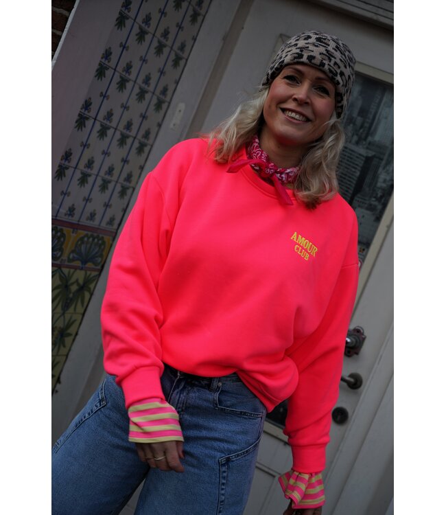 SWEATER AMOUR CLUB ROZE GEEL