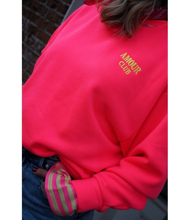 SWEATER AMOUR CLUB ROZE GEEL