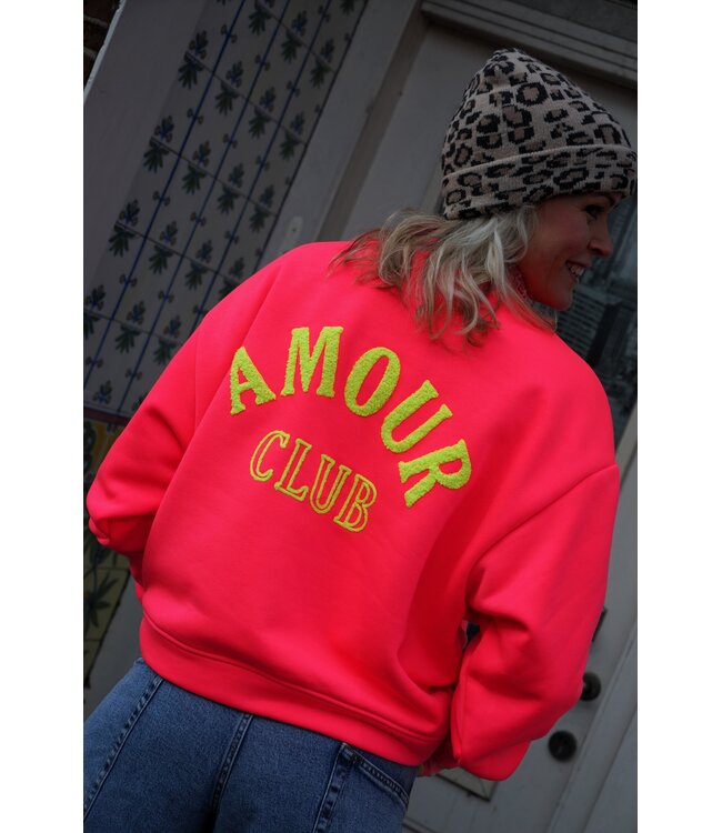 SWEATER AMOUR CLUB ROZE GEEL