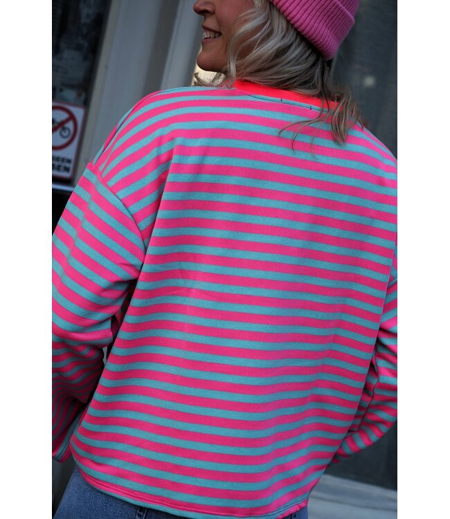 STREEP TOP LIV ROZE BLAUW