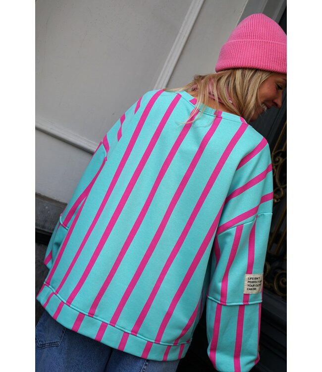 STREEP SWEATER LOT BLAUW ROZE