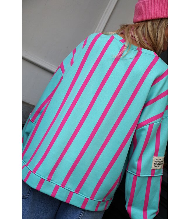 STREEP SWEATER LOT BLAUW ROZE