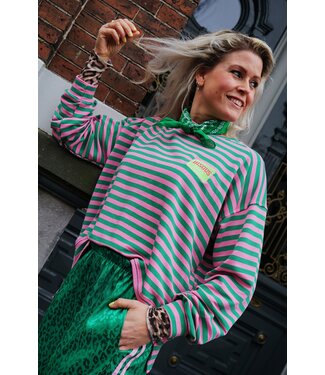 STREEP TOP BISOUS ROZE GROEN