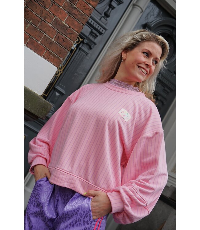 STREEP SWEATER ICONIC ROZE