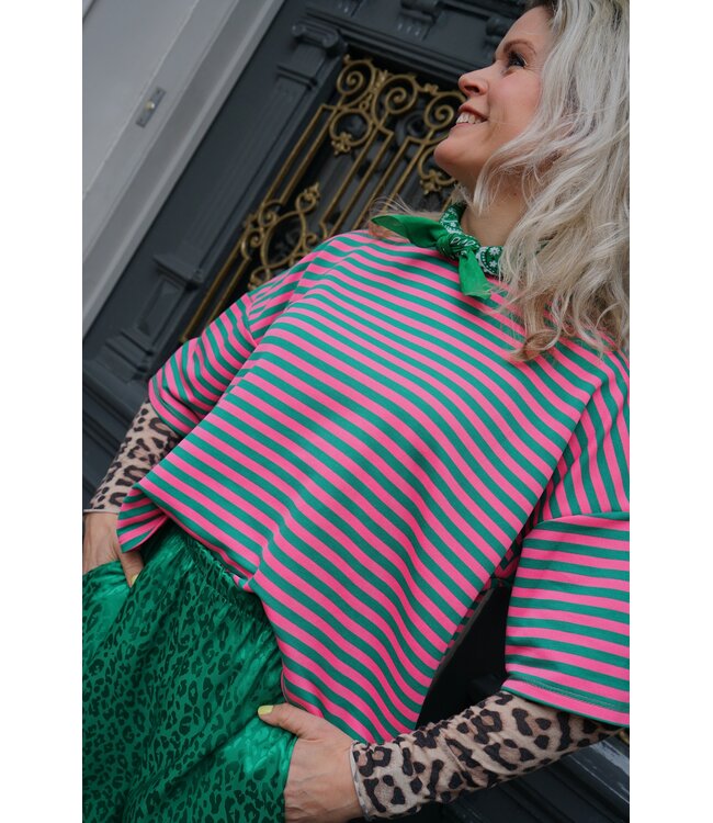 STREEP TOP EVI ROZE GROEN