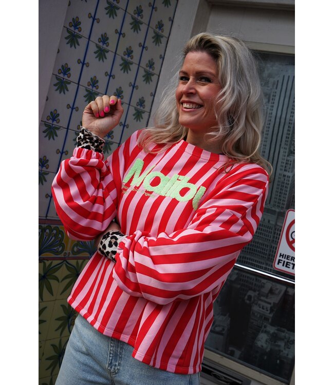 STREEP SWEATER MALIBU ROOD ROZE