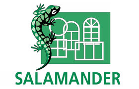 Salamander