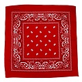 Handkerchief Red