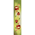 Irene Tulip scarfs Tulpensjaal geel 170*30