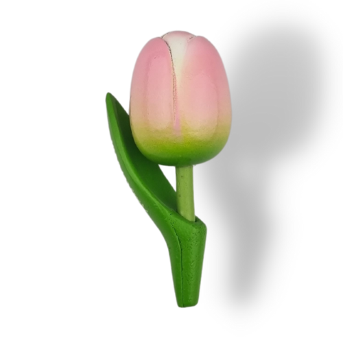 Tulip Magnets - 7 colors in stock with text: Holland