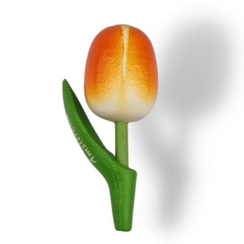 Tulip Magnets - 7 colors in stock with text: Holland