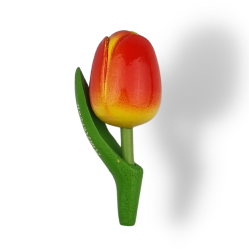 Tulip Magnets - 7 colors in stock with text: Holland