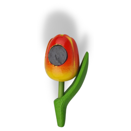 Tulip Magnets - 7 colors in stock with text: Holland
