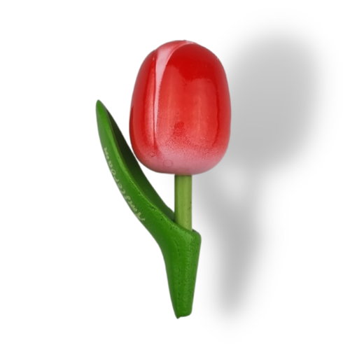 Tulip Magnets - 7 colors in stock with text: Holland