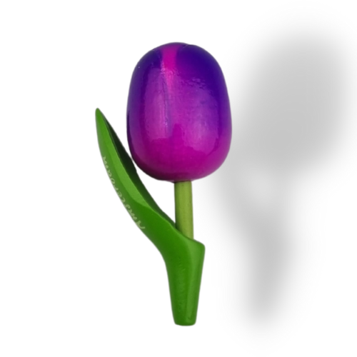 Tulip Magnets - 7 colors in stock with text: Holland