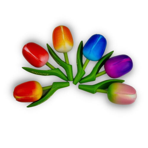 Tulip Magnets - 7 colors in stock with text: Holland