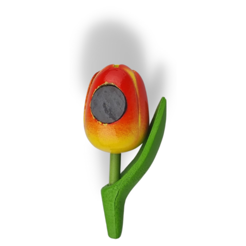 Tulip Magnets - 7 colors in stock with text: Amsterdam