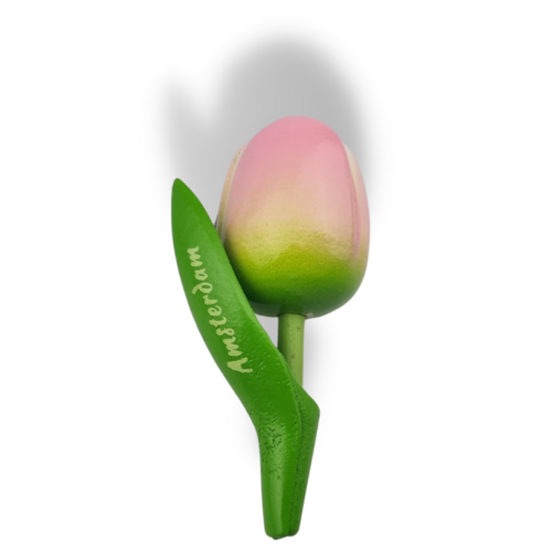 Tulip Magnets - 7 colors in stock with text: Amsterdam