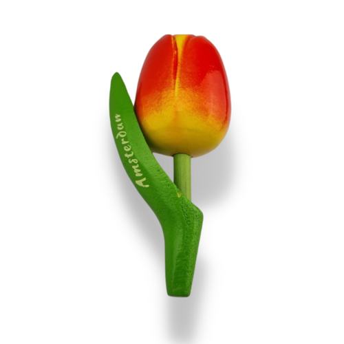 Tulip Magnets - 7 colors in stock with text: Amsterdam